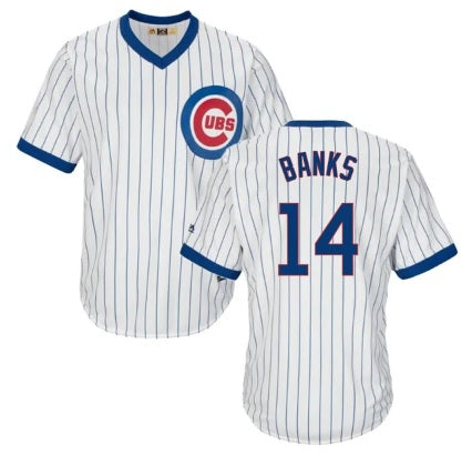 Ernie Banks Chicago Cubs White Pinstripe Pull-Over With Name Baseball Jersey Adult Men's Sizes