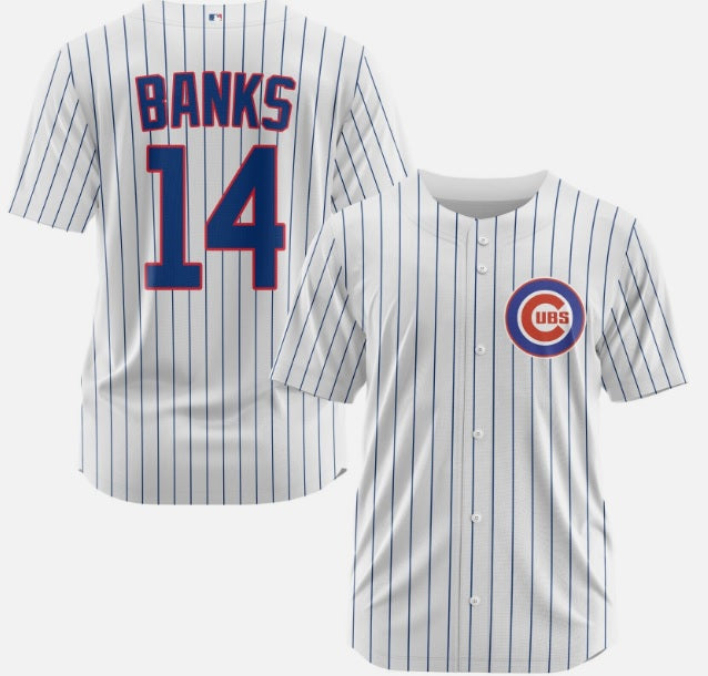 Ernie Banks Chicago Cubs White Pinstripe #14 With Name Baseball Jersey Adult Men's Sizes