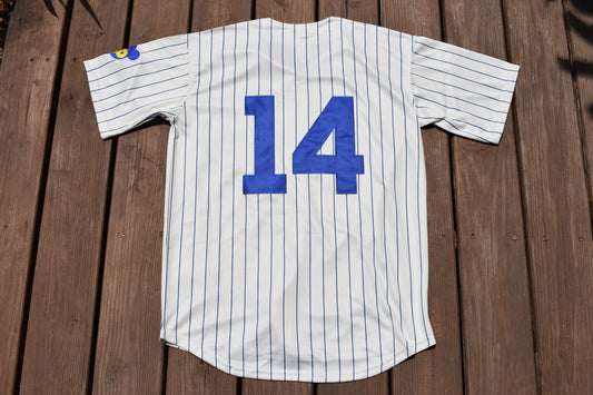 New! Ernie Banks (No Name) Chicago Cubs Cream Pinstripe Baseball Jersey Men's Sizes