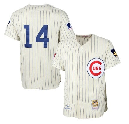 Ernie Banks Chicago Cubs Cream Pinstripe #14 No Name Baseball Jersey Adult Men's Sizes