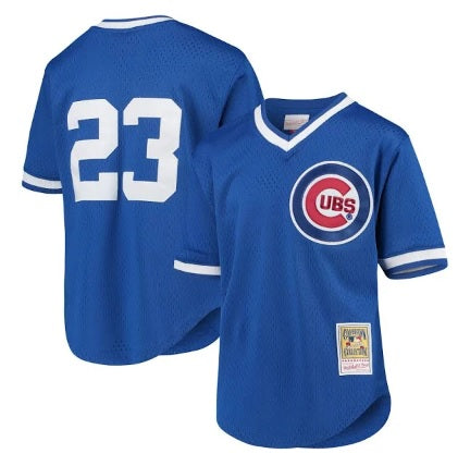 Ryne Sandberg Chicago Cubs Blue Pull-Over With White Numbers No Name Baseball Jersey Adult Men's Sizes